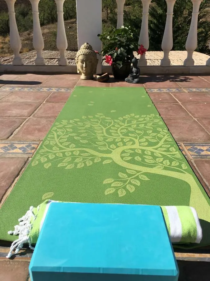 Bed & Breakfast B&B And Apartments Cortijo La Zapatera Canillas de Aceituno